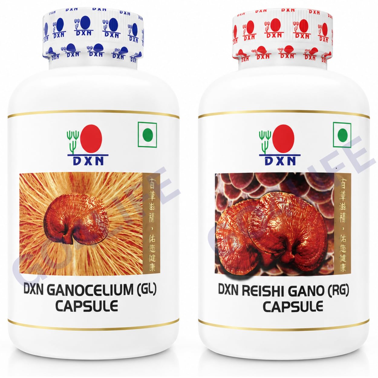 DXN Reishi Gano And Ganocelium Capsules - Rg & Gl - 360 Capsule