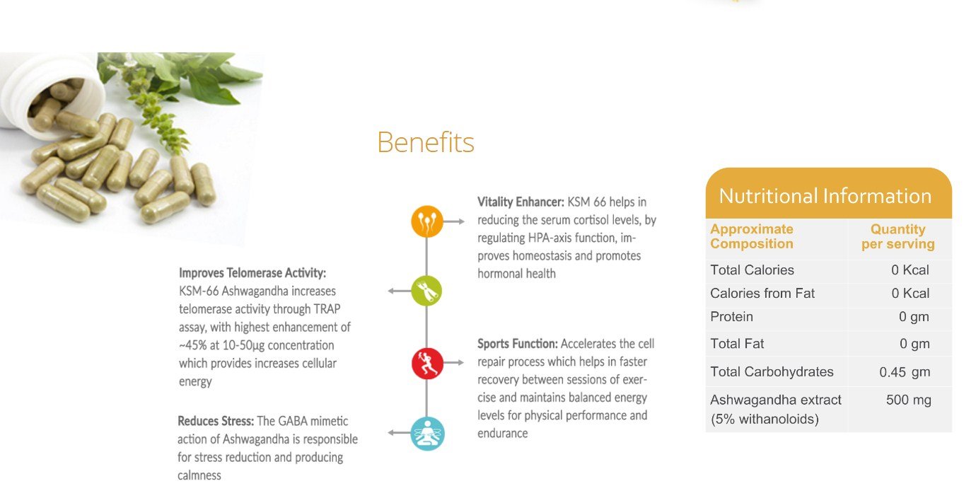 Proyoung Ksm 66 60 capsules - Image 2